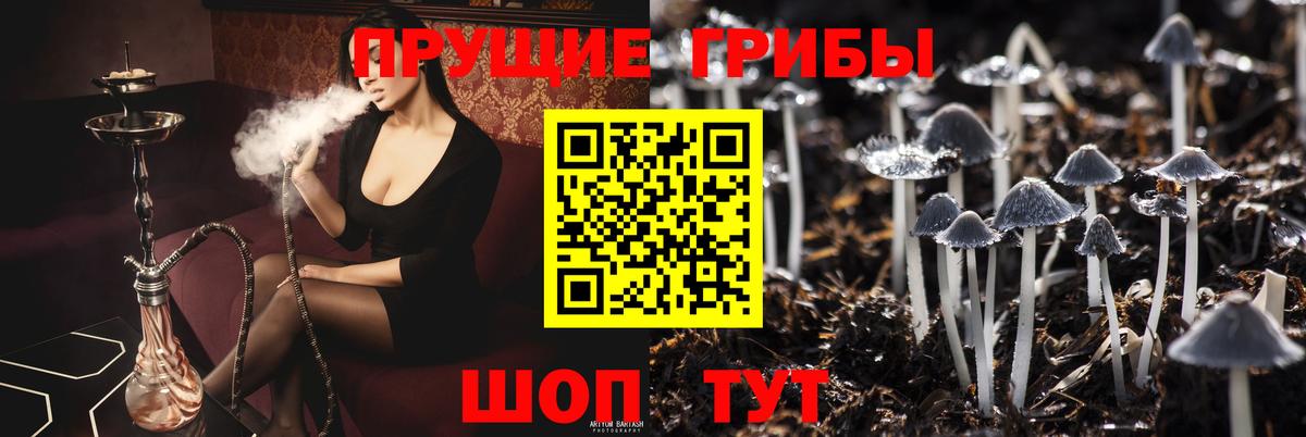 Меф Кемерово