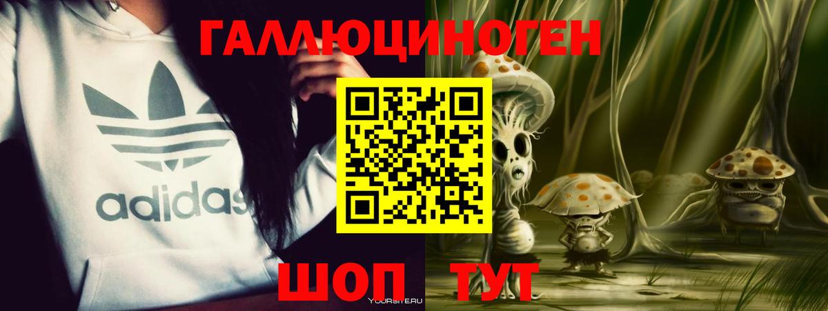 Псилоцибиновые грибы Cubensis Кемерово